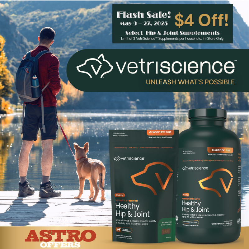 Promotion Image