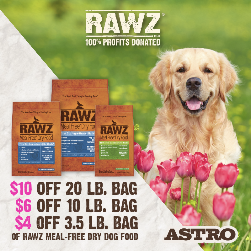 Promotion Image