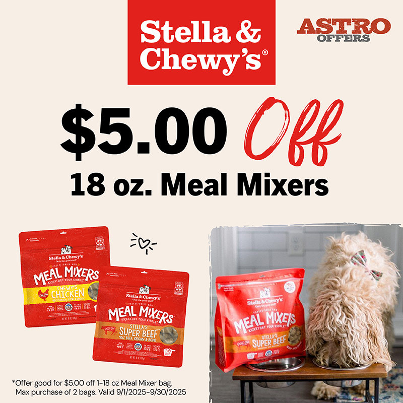 Promotion Image