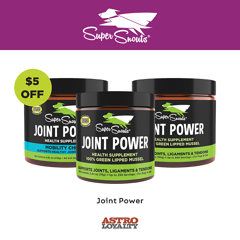 Promotion Image