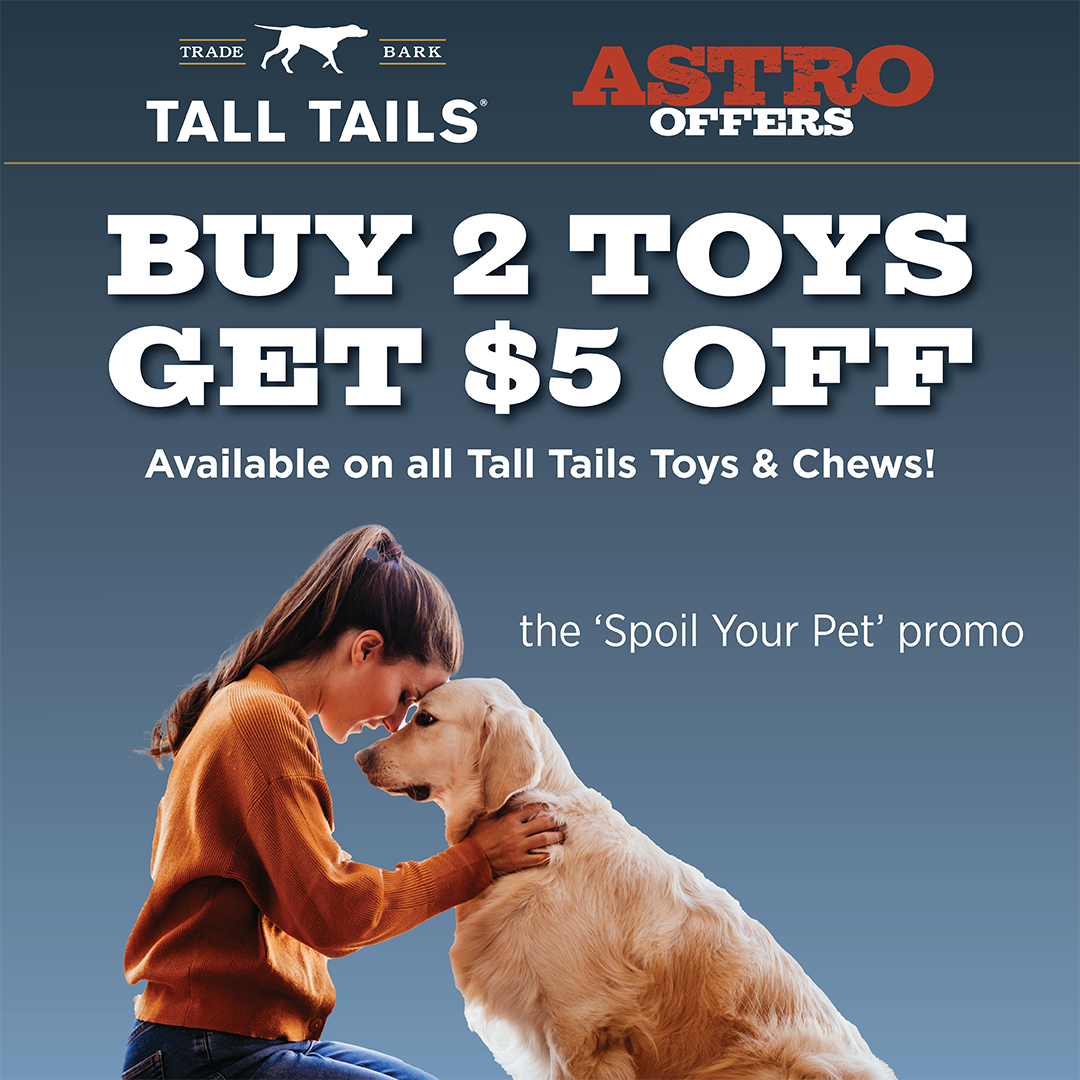 Promotion Image