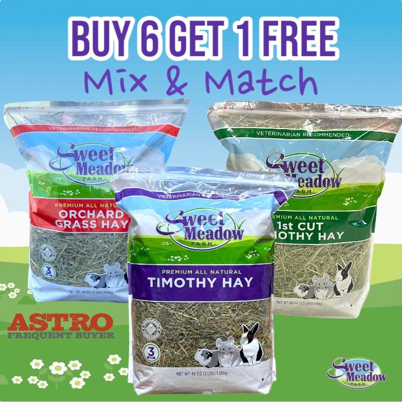 Promotion Image