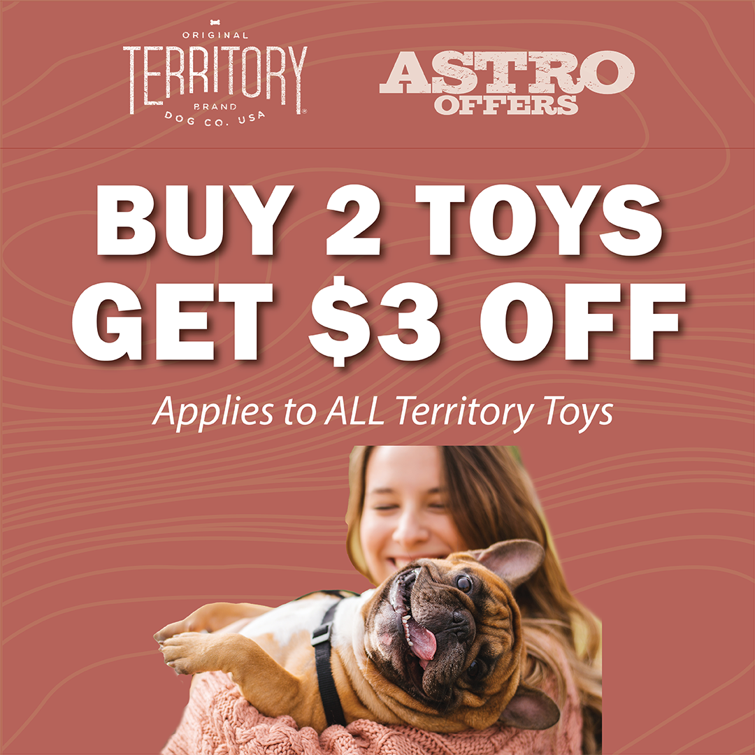Promotion Image