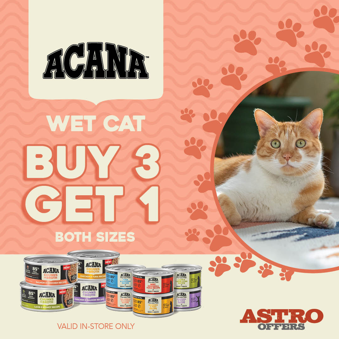 Promotion Image