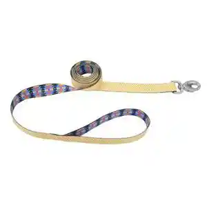 Coastal Sublime Chevron & Aztec Leash 6-ft