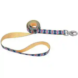 Coastal Aztec Yellow Chevron 1" X 6' Leash